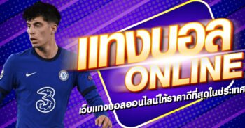 เว็บแทงบอล